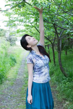 醉打金枝欧阳震华版